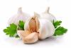 15 INSECTICIDES NATURELS 