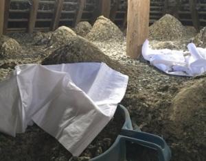 Enlèvement de fientes clochers et combles