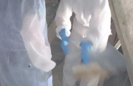 Enlèvement de fientes clochers et combles